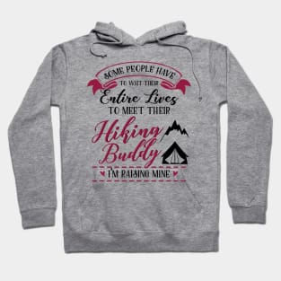 Hiking Mom and Baby Matching T-shirts Gift Hoodie